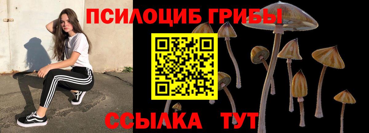 Лобня  Галлюциногенные грибы прущие грибы  Вход с VPN 